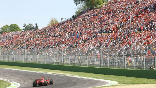 Tosa imola