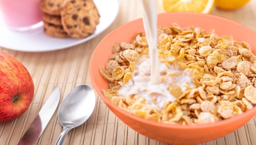 Cereali a colazione quali scegliere