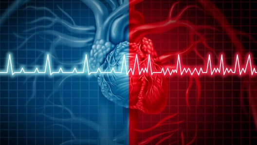 Atrial fibrillation and normal or abnormal heart rate rythm concept as a cardiac disorder as a human organ with healthy and unhealthy ecg monitoring in a 3D illustration style.