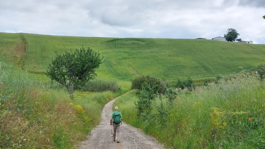 Via Lucana Grassano-Grottole