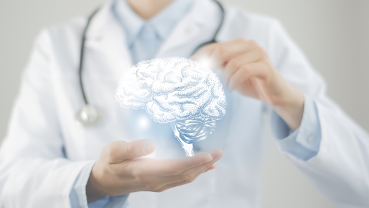 Female doctor holding virtual volumetric drawing of  Brain in hand. Handrawn human organ, copy space on right side, raw photo colors. Healthcare hospital service concept stock photo