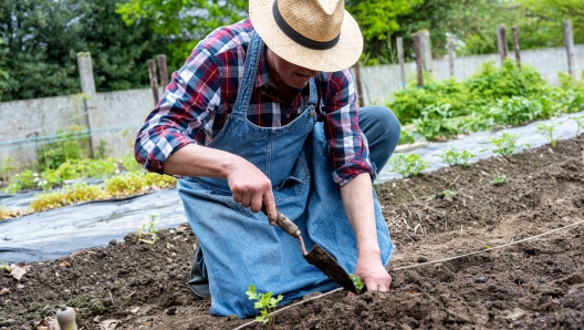 giardinaggio come sport