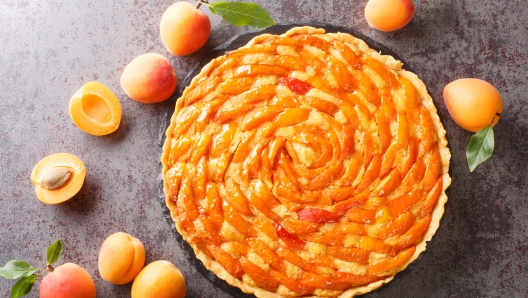 French classic dessert apricot tart with almond cream close-up on a slate board on the table. horizontal top view from above