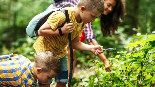 Mother and her little sons hiking trough forest .Boy using magnifying glass and looking at insects.