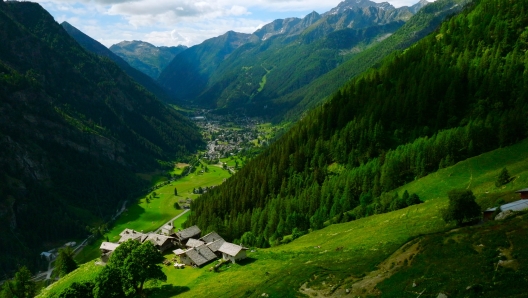 gressoney alpenzu