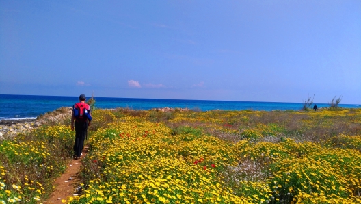 Via Francigena nel Sud