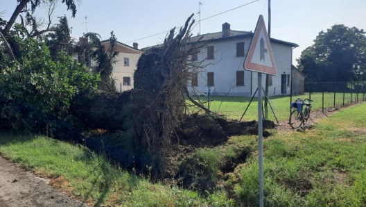 Raffiche di vento pazzesche con fenomeni simili a vere e proprie trombe d'aria hanno scoperchiato alcune case, divelto coperture e tetti, provocati danni a diverse auto, sradicato grossi alberi, tranciato linee elettriche, Conselice, 22 luglio 2023. Facebook Paola Pula sindaca di Conselice