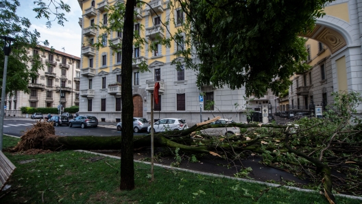 Foto Claudio Furlan/LaPresse 25 - 07 - 2023 Milano , Italia - Cronaca -  Maltempo a Milano, forte tempesta causa ingenti danni Nella foto: Corso Plebisciti  Photo Claudio Furlan/LaPresse 25 - 07 - 2023 Milan , Italy - News - Bad weather in Milan, strong storm causes extensive damage     - danni maltempo - fotografo: furlan