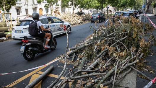 Ancora alberi caduti e danni in citt in corso Plebiscito ad oltre una settimana dal nubifragio del 25 Luglio, Milano 2 Agosto 2023 ANSA/MATTEO CORNER