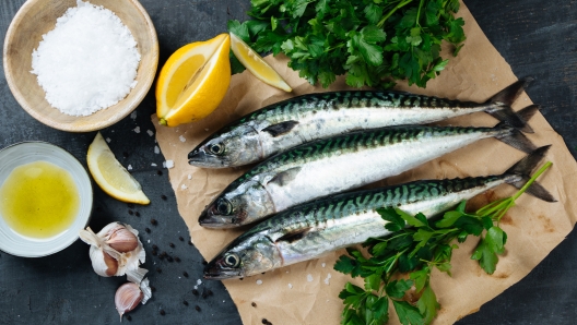 Fresh mackerel fish on paper with lemon, salt, olive oil, garlic, parsley and pepper. Top view