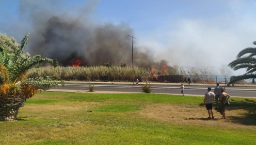 Fiamme vicino case Quartu S.Elena, 06 agosto 2023. Primo bilancio per gli incendi che da questa mattina - anche favoriti dal forte maestrale - stanno bruciando le campagne del sud Sardegna. Gravissimi i danni nella zona di Feraxi: 4 aziende agricole sono state devastata dal fuoco che ha distrutto le riserve di foraggio accumulate. Fiamme anche sugli agrumeti e su una una fattoria modello, meta ogni anno di gite di numerose scolaresche. Le fiamme hanno minacciato anche alcune strutture ricettive ed  stato necessario evacuare gli ospiti. ANSA/FABRIZIO FOIS