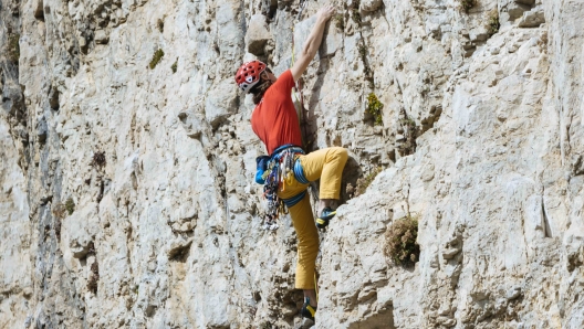 gino soldà