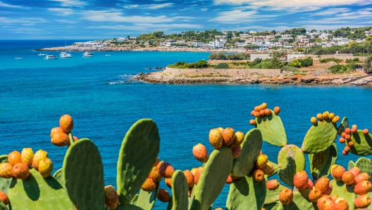 Coastline near Santa Maria di Leuca, Apulia, Italy