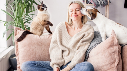 Middle aged woman enjoys spending time at home with her pets. Dog licks owner's cheek with his tongue, cat sitting on couch