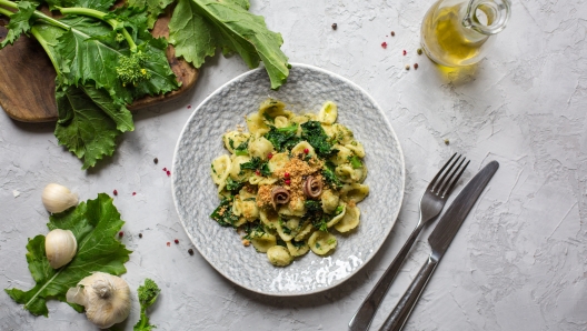 Italian first course - pasta "Orecchiette con le cime di rapa e le acciughe" popular in Southern Italy, typical of Apulia. Made with rapini and anchovy. - Image