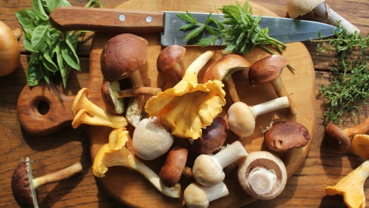 Mix of forest mushrooms on cutting board over old wooden table .