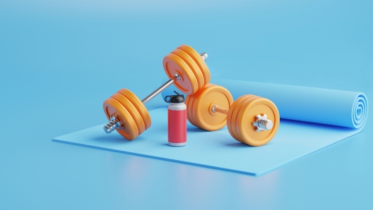 3D rendering fitness Equipment on color  background.