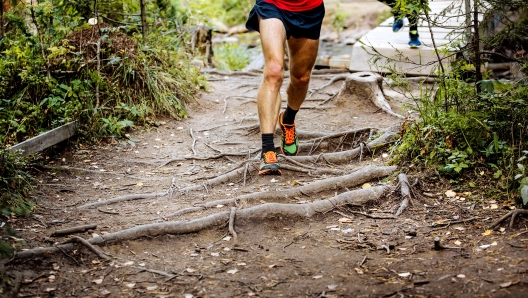 foot runner man running in woods on roots of trees