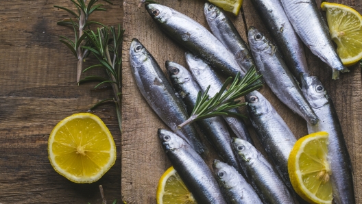 Fresh frozen sardines with lemon and rosemary on old, dark, wooden table. High angle view