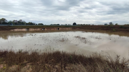 In occasione dell'evento di piena che ha interessato il bacino del torrente Muson è entrata in funzione la Cassa di laminazione tra i territori comunali di Riese Pio X e Fonte (Treviso), 24 ottobre 2023. ANSA/UFFICIO STAMPA ASSESSORATO ALLA DIFESA DEL SUOLO E PROTEZIONE CIVILE REGIONE VENETO +++ ANSA PROVIDES ACCESS TO THIS HANDOUT PHOTO TO BE USED SOLELY TO ILLUSTRATE NEWS REPORTING OR COMMENTARY ON THE FACTS OR EVENTS DEPICTED IN THIS IMAGE; NO ARCHIVING; NO LICENSING +++ NPK +++