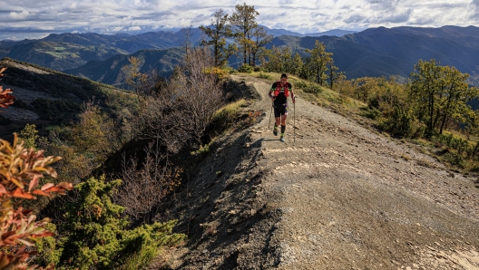 trail cinghiale