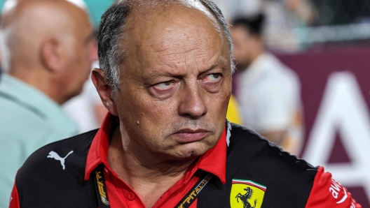 Alfa Romeo's team principal Frederic Vasseur looks on before the start of the sprint race ahead of the Qatari Formula One Grand Prix at the Lusail International Circuit on October 7, 2023. (Photo by Giuseppe CACACE / AFP)