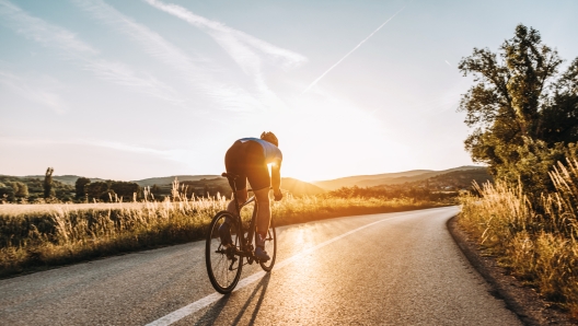 Professional road cyclist On a Training Ride