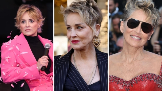 Sharon Stone e la molestia subita