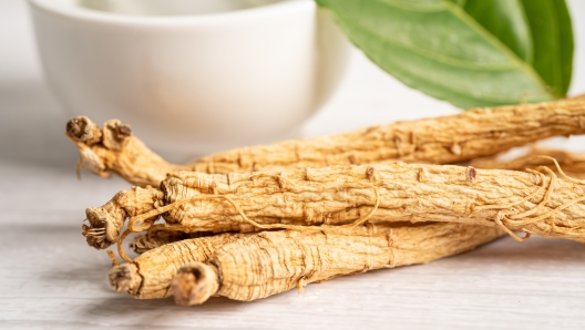 Ginseng, dried vegetable herb. Healthy food famous export food in Korea country.