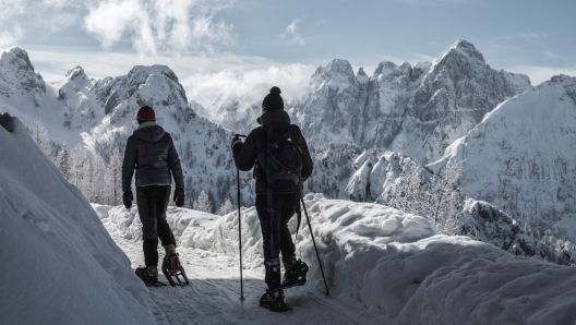 Polo Turistico Invernale: Tarvisio e Val Saisera