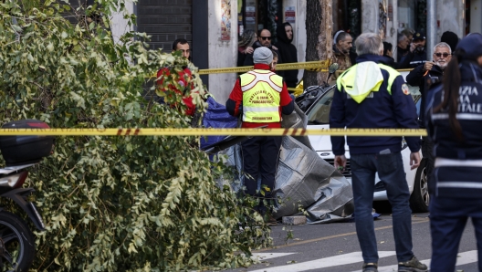 Una donna  morta dopo essere stata colpita da un albero a Roma. E' accaduto in via di Donna Olimpia, in zona Gianicolense, Roma 25 novembre 2023. ANSA/FABIO FRUSTACI