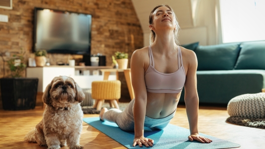 Young athletic woman in cobra pose practicing Yoga with her dog at home.