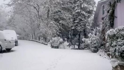 Prima neve in provincia di Foggia. Fiocchi bianchi sono caduti nel Subappennino dauno e nel Gargano. Nevica a Monteleone di Puglia, a Sant'Agata e ad Alberona. Al momento non si registrano particolari difficoltà, tranne ad Alberona dove ci sono disagi perché da qualche mese la provinciale 130 è impraticabile per un cedimento. Nel Gargano la neve è comparsa a San Marco in Lamis. ANSA