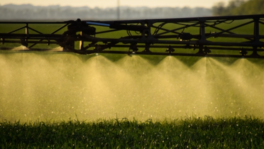 Jets of liquid fertilizer from the tractor sprayer. Tractor with the help of a sprayer sprays liquid fertilizers on young wheat in the field. The use of finely dispersed spray chemicals.