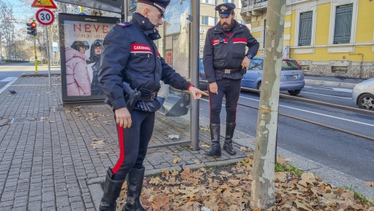 Carabinieri sul posto dove la scorsa notte un ragazzo ha teso un cavo di acciaio ad altezza d'uomo, perpendicolare alla carreggiata, legandolo ad un albero, Milano, 4 Gennaio 2024. ANSA/ ANDREA FASANI