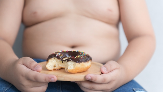 donut in hand obese fat boy on gray background, junk food can cause obesity.