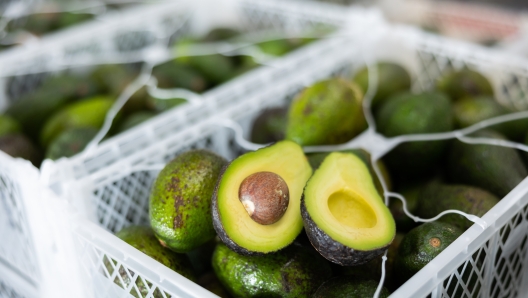 avocado supermercato