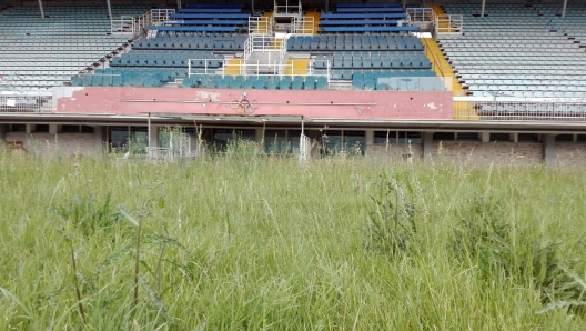 Il prato abbandonato dello stadio Flaminio, Roma, 12 maggio 2016.
ANSA/ MARTINO IANNONE