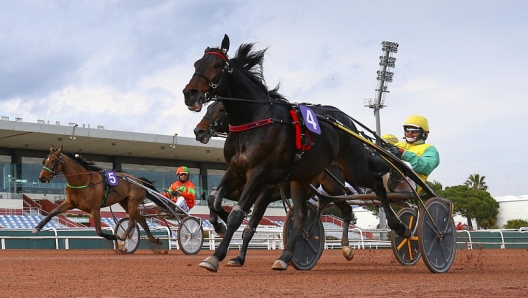 Cagnes-Sur-Mer - 08/03/2020 - GRAND CRITERIUM DE VITESSE NICE-MATIN (Gr 1) - VIVID WISE AS, Alessandro Gocciadoro -