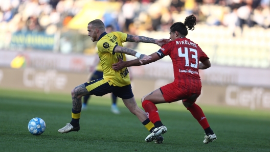 Foto Gianni Santandrea/LaPresse 25 Febbraio 2024.  Modena, Italia - sport, calcio - Modena vs Spezia   - Campionato di calcio Serie BKT 2023/2024 - Stadio Alberto Braglia. Nella foto: Palumbo NikolaouFebruary 25, 2024 Modena, Italy - sport, soccer - Modena vs Spezia  - Italian Football Championship League BKT 2023/2024 - Alberto Braglia stadium. In the pic: Palumbo Nikolaou