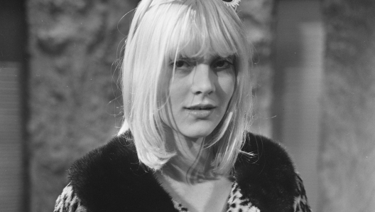 Sylvie Vartan ritiro dalle scene e amori