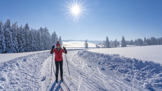 beautiful active senior woman cross-country skiing in fresh fallen powder snow in the Allgau alps near Immenstadt, Bavaria, Germany