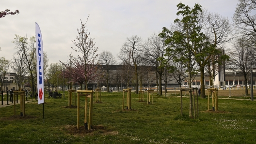 -during the planting ceremony of the 11 trees donated to the city by Suzuki together with the Torino Fc. April 4, 2024. sport. (Photo by Fabio Ferrari/LaPresse)