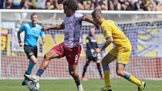 Joshua Zirkzee of Bologna vies for the ball with Simone Romagnoli of Frosinone during the Serie A soccer match between Frosinone Calcio and Bologna FC at Benito Stirpe stadium in Frosinone, Italy, 6 April 2024. ANSA/FEDERICO PROIETTI