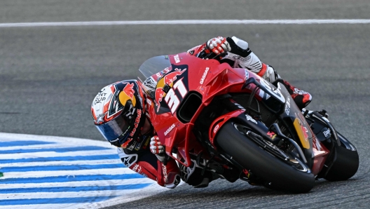 KTM Spanish rider Pedro Acosta competes during the Sprint race of the MotoGP Spanish Grand Prix at the Jerez racetrack in Jerez de la Frontera on April 27, 2024. (Photo by JAVIER SORIANO / AFP)