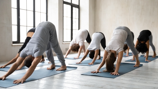 Sporty diverse young people doing Downward facing dog exercise at group lesson, practicing yoga, standing in adho mukha svanasana pose, working out in modern yoga studio with male instructor