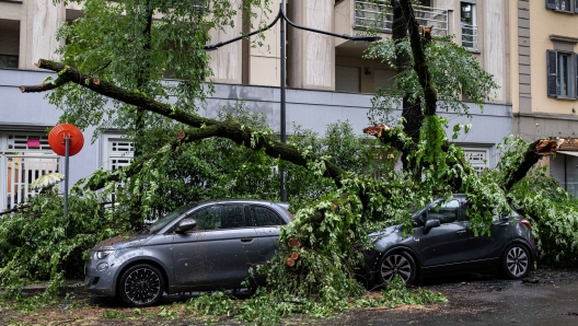 In via Sanzio è caduto un albero su un auto a causa del maltempo Milano, Italia - Cronaca Martedì, 15 Maggio, 2024. (Foto di Marco Ottico/Lapresse)  In via Sanzio a tree fell on a car due to bad weather Milan, Italy - News Tuesday, 15 May, 2024. (Photo by Marco Ottico/Lapresse)   - In via Sanzio è caduto un albero su un auto a causa del maltempo - fotografo: Marco Ottico