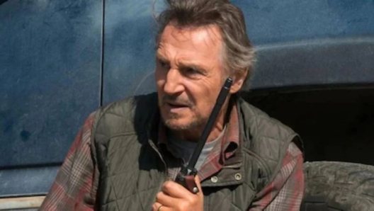 Un uomo sopra la legge Liam Neeson