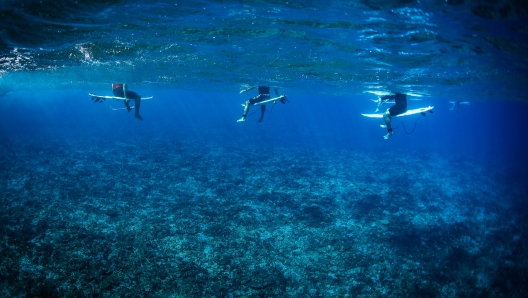 TEAHUPO'O, FRENCH POLYNESIA - AUGUST 11: Surfers wait on their boards during the Opening Round Heats during day one of the SHISEIDO Tahiti Pro on August 11, 2023 in Teahupo'o, French Polynesia. (Photo by Ryan Pierse/Getty Images)