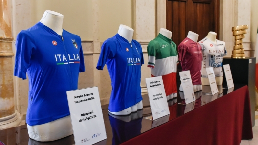 IL PRESIDENTE FONTANA INAUGURA LA MOSTRA DELLE MAGLIE DEL CICLISMO ITALIANO - IL PRESIDENTE FONTANA INAUGURA LA MOSTRA DELLE MAGLIE DEL CICLISMO ITALIANO - fotografo: MINELLI IMAGOEOCNOMICA